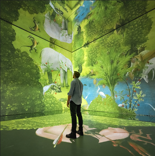 FRAMELESS immersive art experience in London & Two Course Lunch for Two